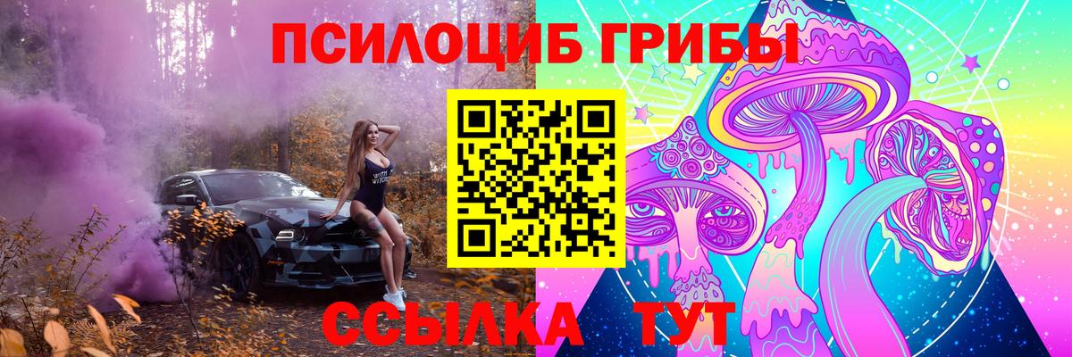 Псилоцибиновые грибы Psilocybe Белореченск