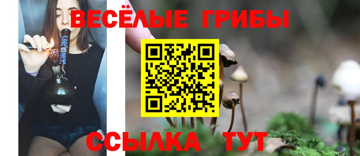 Белореченск  Псилоцибиновые грибы GOLDEN TEACHER  Вход с VPN 