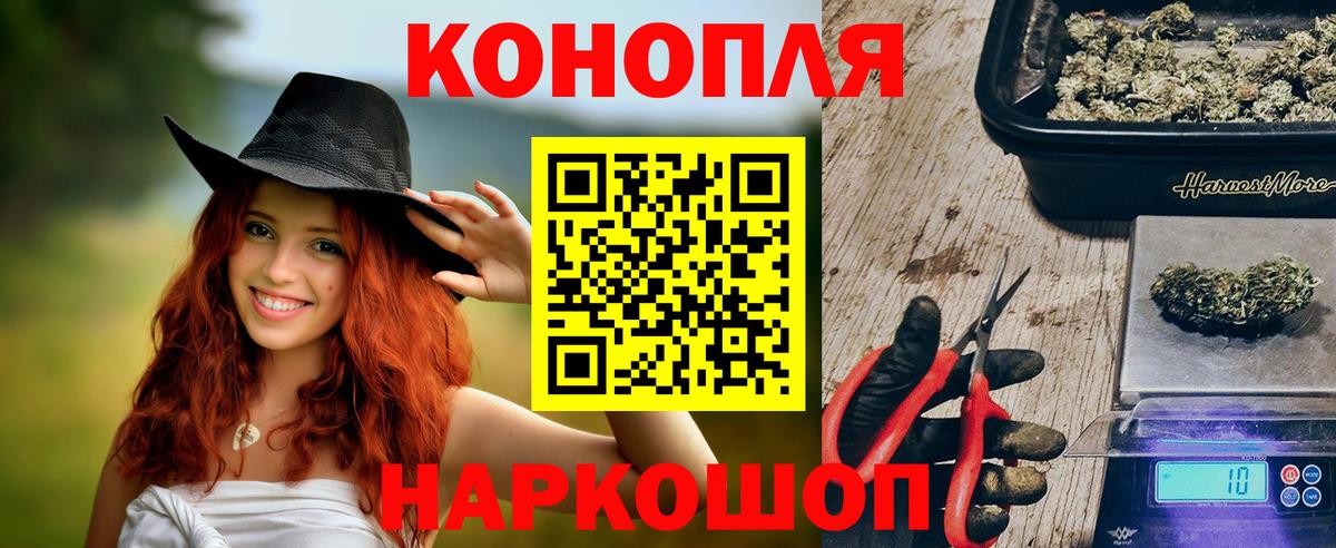 Бошки Шишки Amnesia Белореченск